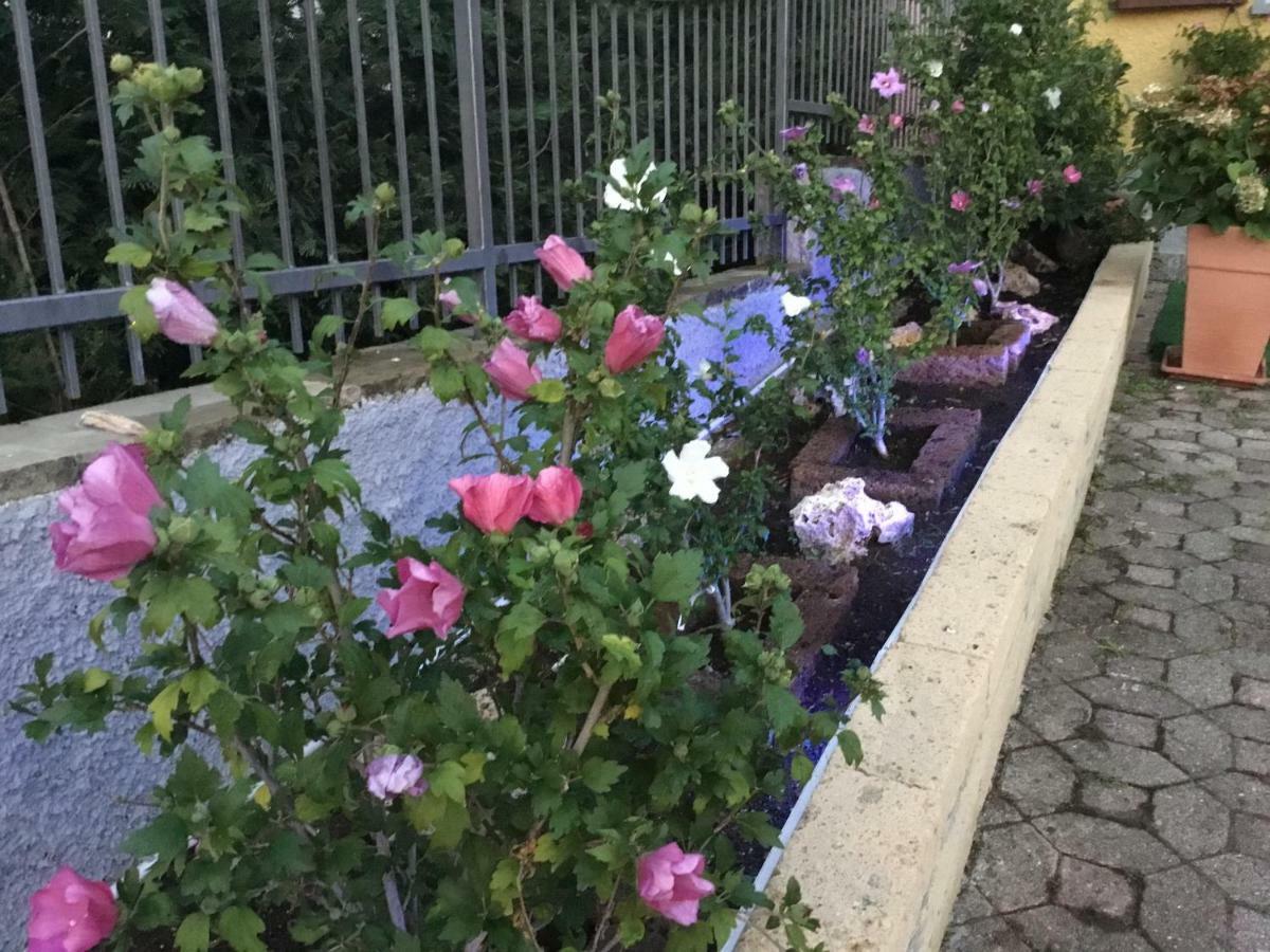 Villa Marilena Ranzanico Dış mekan fotoğraf